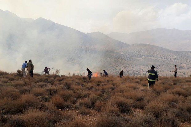 آتش سوزی در مناطق کوهستانی جم مهار و خاموش شد/ ۵۰۰ هکتار از مراتع جم در آتش سوخت