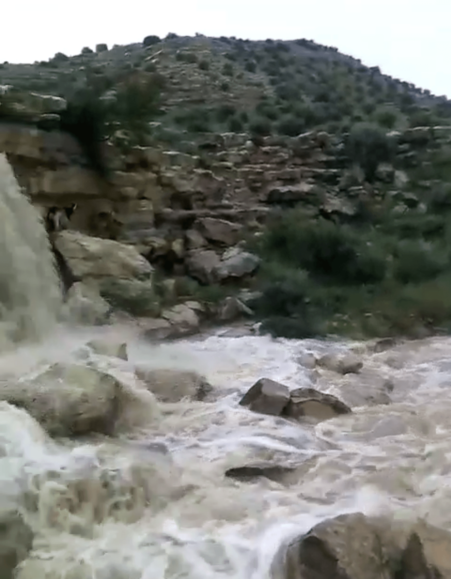 بیشترین میزان بارندگیهای اخیر استان در جم ثبت شد