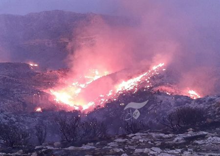 آتش سوزی گسترده در کوه های جم/ آتش همچنان زبانه می کشد/ مسیر صعب العبور کار اطفا را سخت کرده است+تصاویر