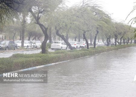 بارش باران در استان بوشهر مشکل‌ساز نشد
